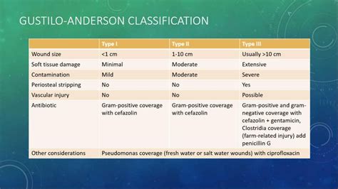 Gustilo Classification